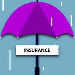 Transit Insurance in Velneshwar